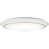 DAIKO ����d�@ �V�[�����O���C�g 10-12���p DX-85805