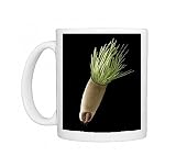 Aster seed, SEM Photo Mugs