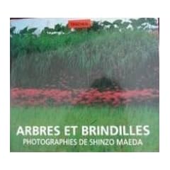 Arbres et brindilles