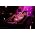 Thumbnail image of Christina Aguilera