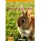 B�cher �ber Kaninchen