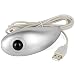 Handheld USB Trackball + 2 Buttons PC Notebook Mouse