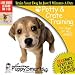 Puppy Smarts Potty & Crate Training CD-ROM
