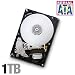 Hitachi Deskstar 7K1000.B - Hard drive - 1 TB - internal - 3.5