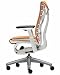 Embody Chair by Herman Miller - Home Office Desk Task Chair with Adjustable Arms  White Frame Titanium Base Upgraded Mango Balance Fabric with Clear Translucent Hard Floor Casters