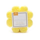 Spongeables Spongelle Bodywash Infused Sponge (Yellow Daisy) 10+ Uses Lilly of the Valley-Green Tea Infusion
