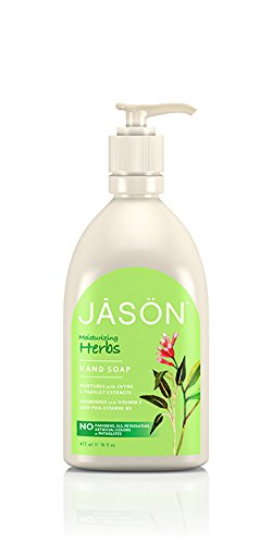Jason Pure Natural Hand Soap, Moisturizing Herbs, 16 Ounce