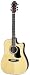 Aria AW-35CE Acoustic Cutaway Guitar with Electronics
