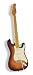 Gould Electric Guitar - Tobacco Sunburst