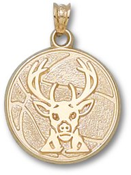 Milwaukee Bucks Basketball 3/4