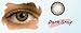31zjMSfQZBL. SL75  Halloween Color Contact Lenses   What You Need To Know