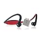 Motorola S9 Bluetooth Headphones and D650 Adapter for iPod