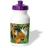 Dogs Boxer - Boxer - Water Bottles by 3dRose LLC