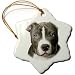 Dogs Pitbull - American Pit Bull Terrier Puppy - Ornaments