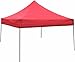10 x 10' Canopy