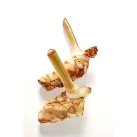 Galangal Fresh 14 Oz