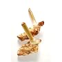 Galangal Fresh 14 Oz