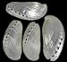 10 Pearl Abalone Haliotis Mules Ear Seashells Shell