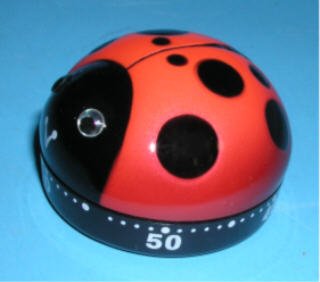 Childrens Toyshop  Kitchen & Housewares : LADY BUG ladybug KITCHEN decor Chef egg TIMER cooking