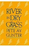 River in Dry Grass