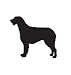 Hound Dog Pet Irish Wolfhound Car Truck Vehicle Bumper Helmet Decal Sticker Wall Art Laptop Design Skin Stickers