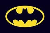 GB eye Ltd, Batman, Dark Knight, Logo, Maxi Poster, (61 x 91.5 cm) FP2089