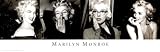 (12x36) Marilyn Monroe 4 Poses Movie Poster Print