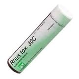 Rhus toxicodendron - 6X, 100 tab