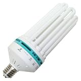 LongStar 00039 - FE-IIIB-200W/50K Light Bulb