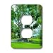 Florene Trees - The Great Banyon - Light Switch Covers - 2 plug outlet cover