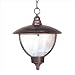 Special Lite Products F-2914BLAB Vista Medium Chain Pendant Finish: Black, Glass: Ala...