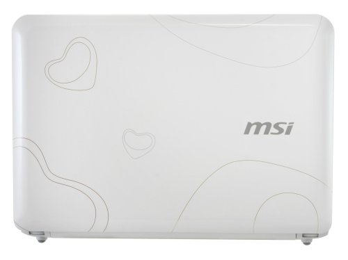 MSI Wind U100-030US 10-Inch Netbook (1.6 GHz Intel Atom Processor, 1 GB RAM, 120 GB Hard Drive, XP Home, 3 Cell Battery) Pearl White Heart