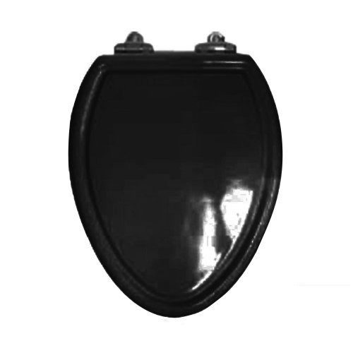 American Standard 5260 012 178 Traditional Champion 4 Slow Close Molded