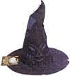 Harry Potter ECONOMY Costume Fabric Sorting Hat