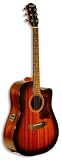 Hohner HW300CE-SB Dreadnaught Cutaway Acoustic Electric Guitar with Fishman Ion Preamp (Mahogany, Sunburst)