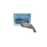 Giant of the Sea : The Story of a Sperm Whale(Smithsonian Oceanic)
