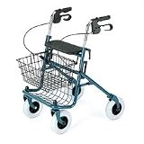 Economy 4-Wheel Rollator