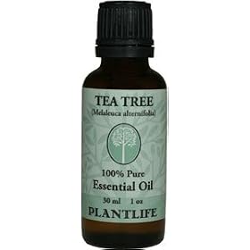 Tea Tree 100% Pure Essential Oil - 30 ml