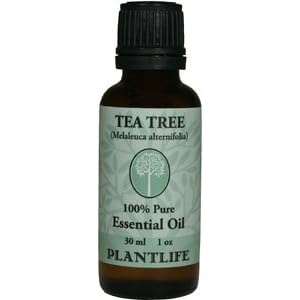 Tea Tree 100% Pure Essential Oil - 30 ml by Plantlife