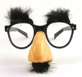 Fuzzy Puss Fake Nose Eyebrows Glasses Novelty Toy