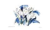 31znOmxWNzL. SL160  White Crocus by Lynn Donoghue, 20x12