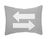 DwellStudio Transportation Boudoir Pillow
