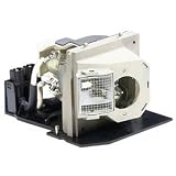 NEW Proj Lamp for Dell 5100MP - 310-6896-ER