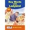 Ladybird Key Words Reading Scheme -