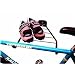 Racor Inc. PSB1R Single Folding Bike Rack