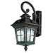 Trans Globe Lighting 5420 AR 25-1/2-Inch 2-Light Outdoor Medium Wall Lantern, Antique Rust