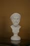 Pythagoras Bust 5.6" tall