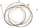 Lyon by Washburn Electric Guitar Strings- 461T