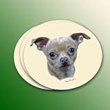 Chihuahua Tan/White Coasters - 4 Pack