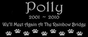 6 x 3 Lazer Gifts Personalized Black Granite Pet Memorial Marker Style Polly